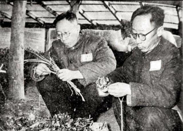 溥仪晚年灵异事件:溥仪的后半生是怎么过的？
