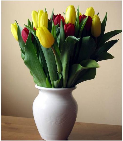 家里放个空鸟笼的禁忌,为什么家里不能摆放假花？