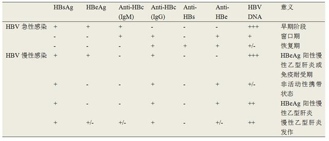 乙肝五项结果分析(乙肝五项结果分析表)
