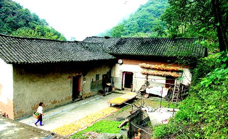 头条问答 - 你印象中的农村是怎样的?(11个回答)