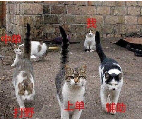 飞影铠甲严莉莉在一起了:王者荣耀有哪些简单的刺客适合上手？