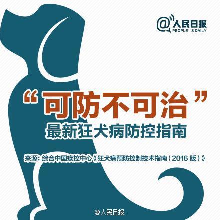 猫在哪个国家内受到严格保护?:保护猫狗，对社会有什么深远的意义？