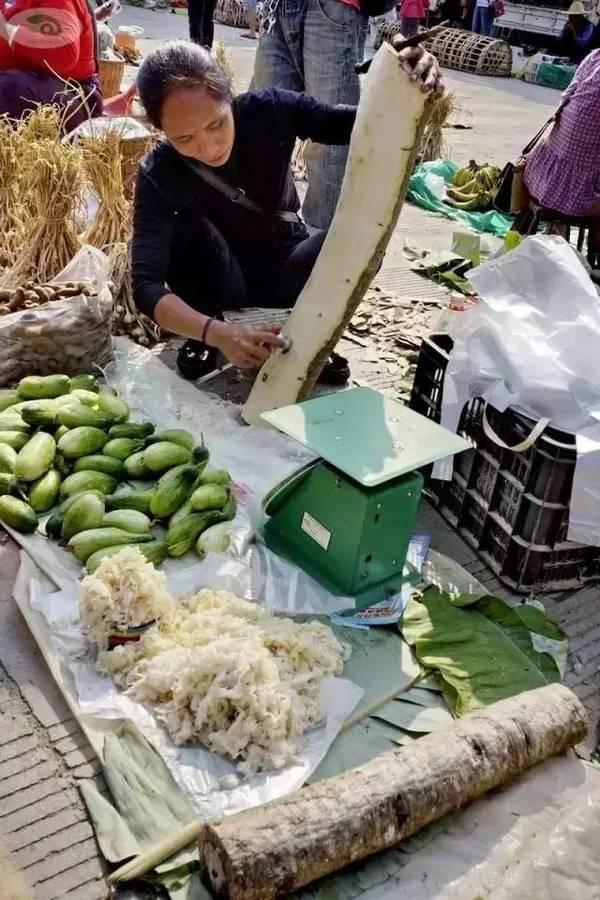 石蚌:石头 听说蛙类只有石蛙才是真正不用喂饲料不在肥水里长，大家说是吗？