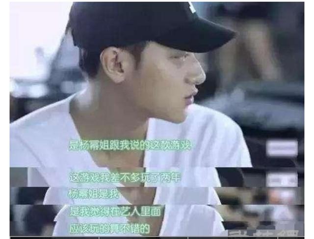 演员王琳:有哪些明星在玩王者荣耀呢？