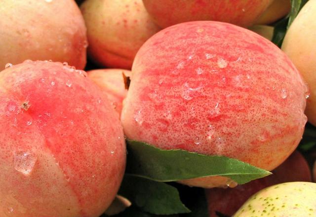 養生水果油桃補益氣血，桃子的熱量高嗎，多吃會胖嗎？