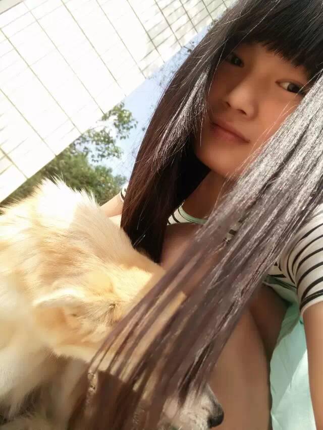 中华田园犬智商排名:中华田园犬的服从性怎么样？