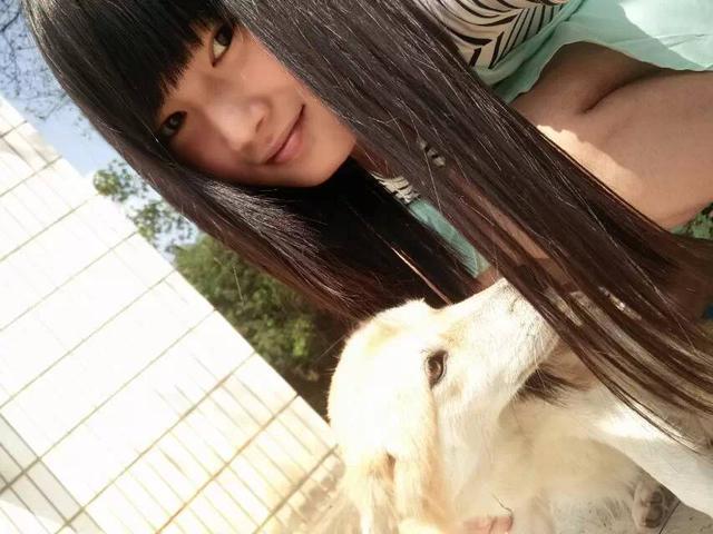 中华田园犬智商排名:中华田园犬的服从性怎么样？