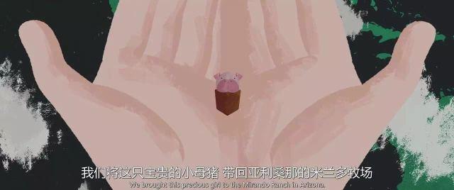 比格犬视频:如何评价奉俊昊电影新作《玉子》？
