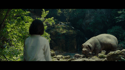 比格犬视频:如何评价奉俊昊电影新作《玉子》？