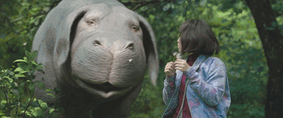 比格犬视频:如何评价奉俊昊电影新作《玉子》？