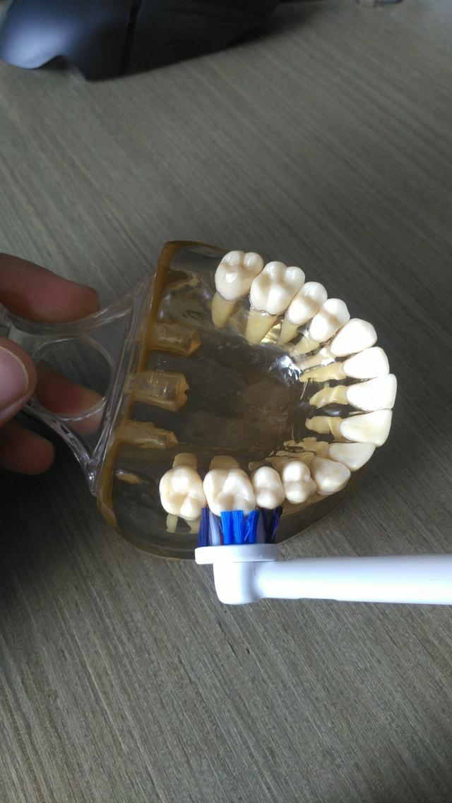 怎么样才能让牙齿变白(怎么样才能让牙齿变白?)