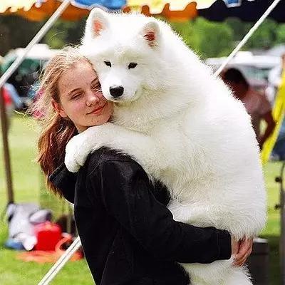祖述宪谈狂犬病:狗的唾液进入人的口腔会不会得狂犬病？