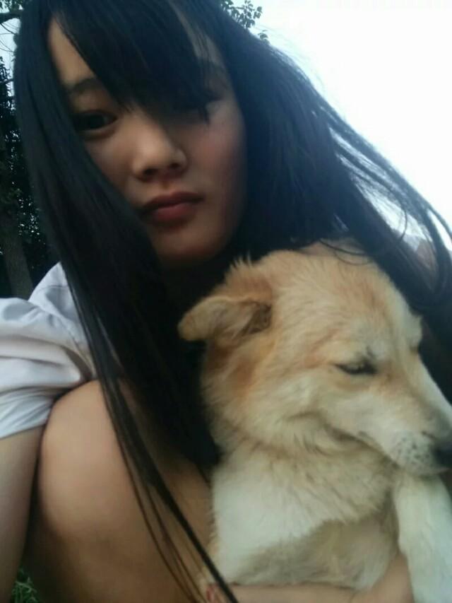 中华田园犬智商排名:中华田园犬的服从性怎么样？