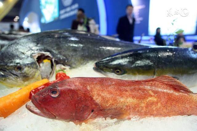 这4种鱼尽量少吃，有哪些淡水鱼，高血压患者不能吃