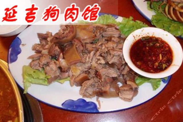 延边珍岛狗:怎么看吉林延边东北虎捕杀护院大黄狗？