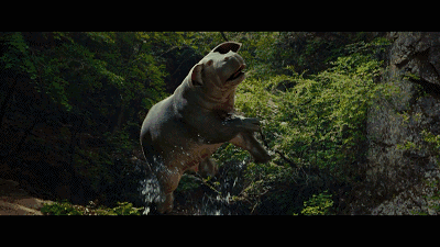 比格犬视频:如何评价奉俊昊电影新作《玉子》？