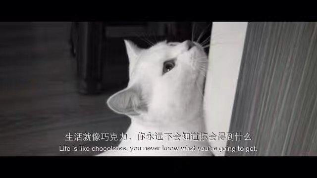 有没有小清新的简短一点的英文网名
