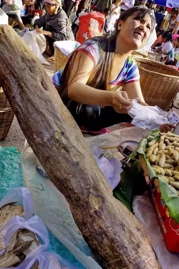 石蚌:石头 听说蛙类只有石蛙才是真正不用喂饲料不在肥水里长，大家说是吗？