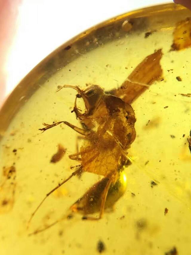 10万左右的翡翠手镯图片,世界上最贵的翡翠手镯是什么？