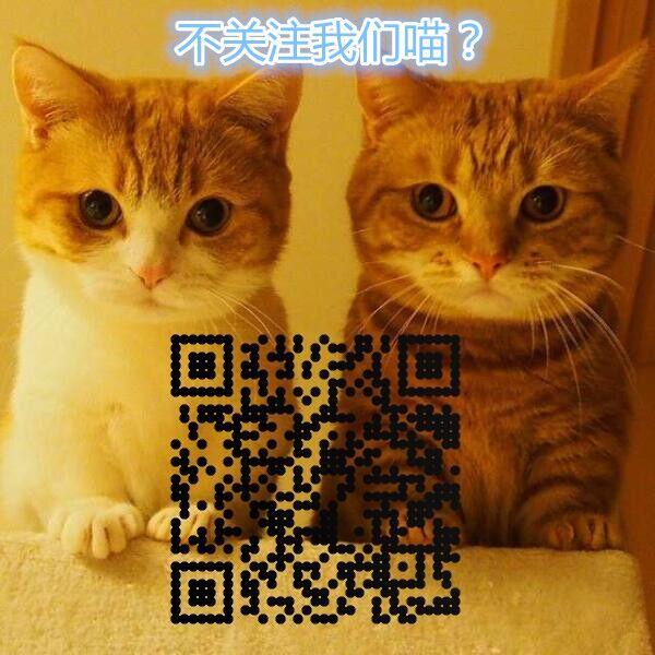 波美拉尼亚犬游戏:你们有没有和宠物之间的小感动？
