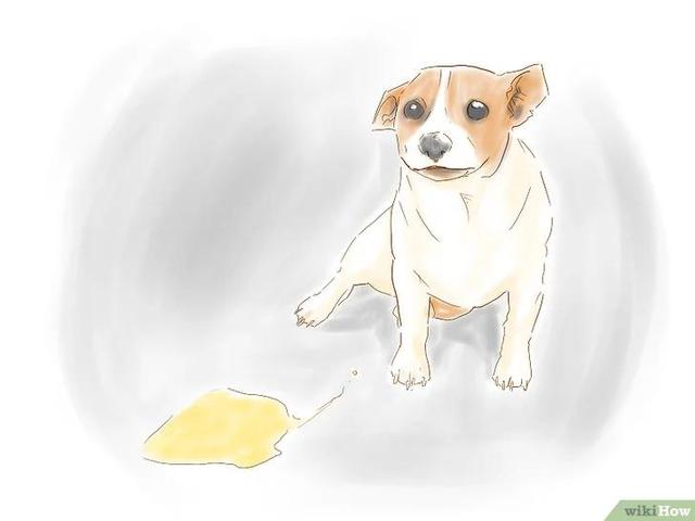 罗斯蔓狗狗清洁除味排行榜:如何有效去除猫狗的屎尿残留味？