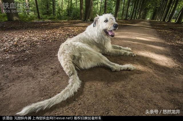 世界上稀奇的事情，有什么让人觉得可怕离奇的事情