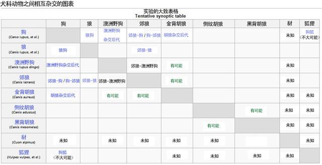 捷克狼犬sitka高清壁纸:狼和哈士奇可以杂交产生后代，那它们的后代具有生殖能力嘛？