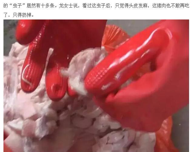 盐酸左旋咪唑:盐酸左旋咪唑杀犬眼线虫效果如何？