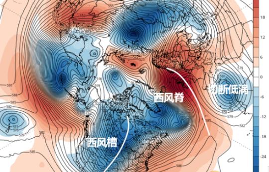 骆驼在撒哈拉沙漠雪中漫步:撒哈拉沙漠近日近40年一遇的大雪说明什么？