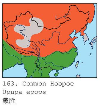 戴胜鸟是哪个国家的，这种鸟被叫做花蒲扇，很漂亮，你知道它有什么奇葩习性吗