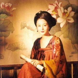 大明宫词剧情介绍:豆瓣排名9.0以上的九部古装剧，每一部都是经典，你都看过吗？