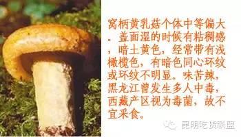 捏捏吃啥东西了为啥不会-不饿但是老想吃东西，吃了不撑，但是不吃不行，是心里有毛病吗？