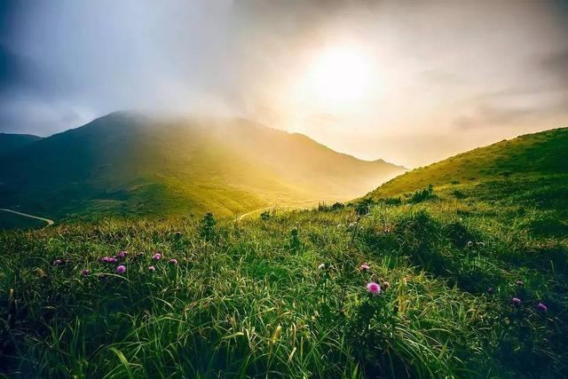 杨阿苗故居:厦门和泉州，哪个地方更值得去旅游？
