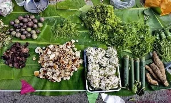 石蚌:石头 听说蛙类只有石蛙才是真正不用喂饲料不在肥水里长，大家说是吗？