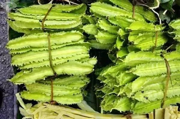 石蚌:石头 听说蛙类只有石蛙才是真正不用喂饲料不在肥水里长，大家说是吗？