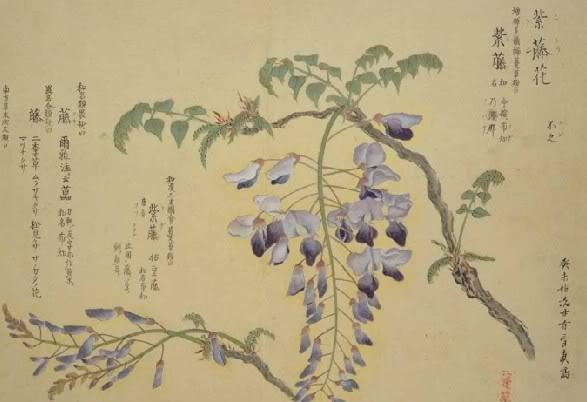 诗情画意的名字:<a href=https://maguai.com/list/34-0-0.html target=_blank class=infotextkey>小说</a>中让你觉得很好听或充满诗意的名字有哪些？
