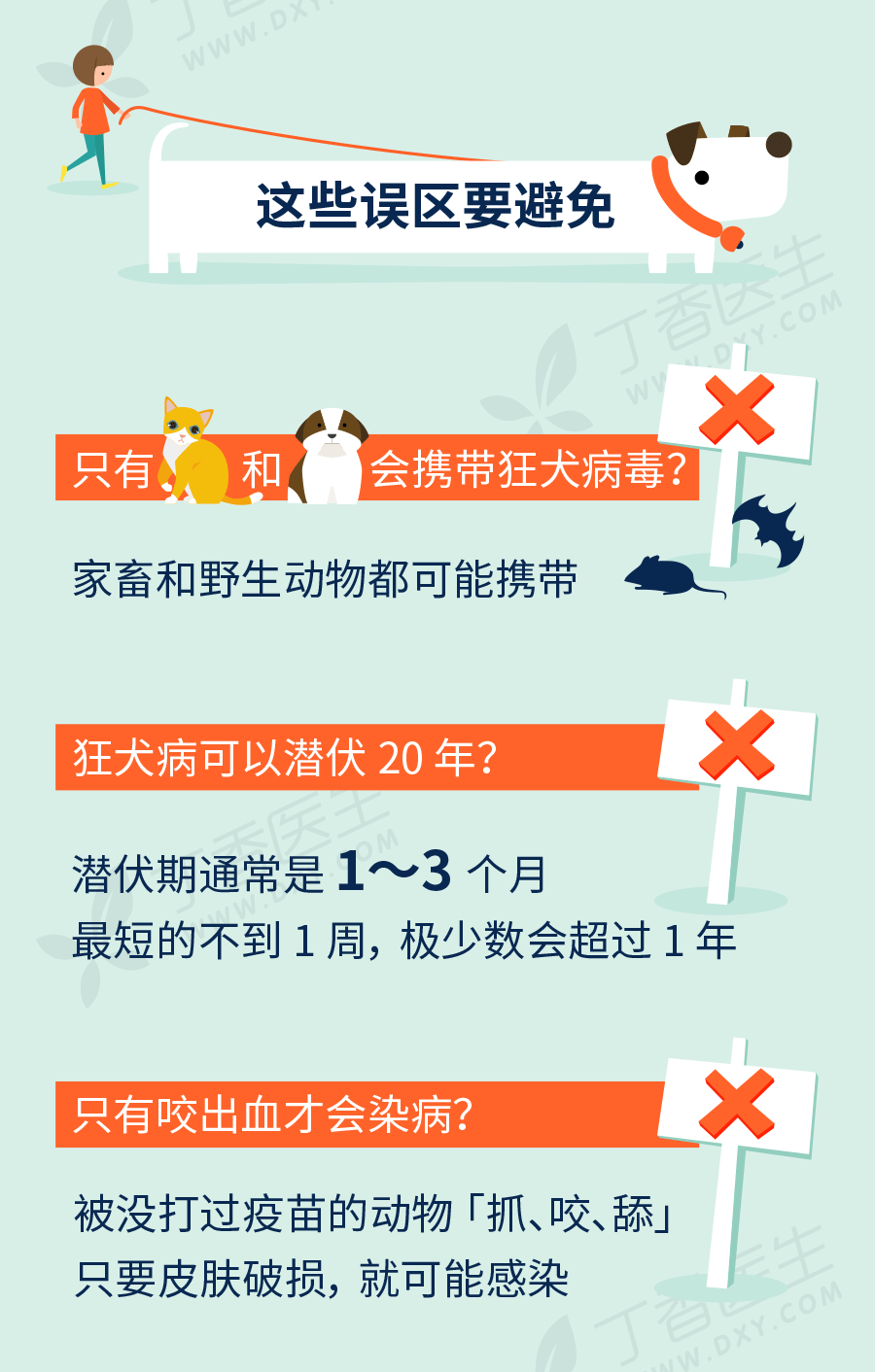 内容参考丁香医生科普文章:《一图读懂 · 不可小瞧的狂犬病》编辑