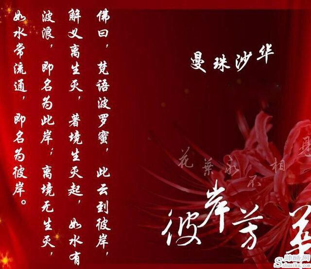 杀无赦系列:如何以“杀无赦”开头写一篇古风文？