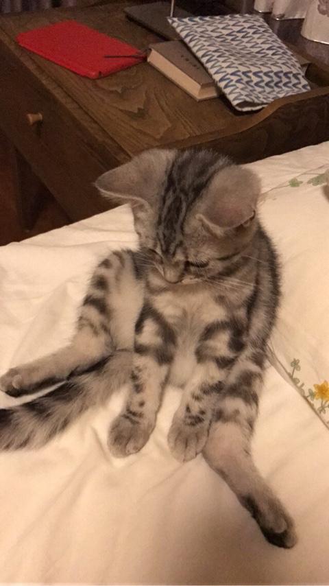 头条问答 水银是怎么制备的 Adorable浅色的风的回答 0赞