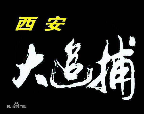 有哪些好的国产警匪电视剧？