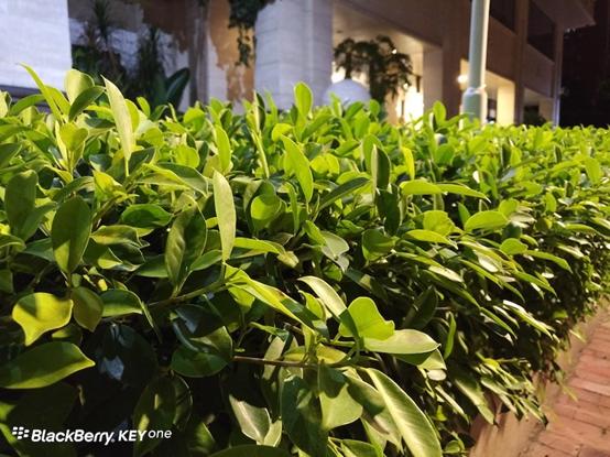 黑莓手机怎么样(黑莓手机怎么样好不好)