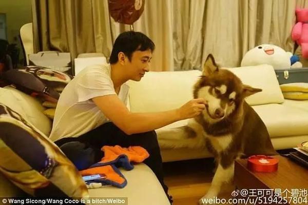 王思聪微信多少:王思聪悬赏100万找狗是怎么回事？
