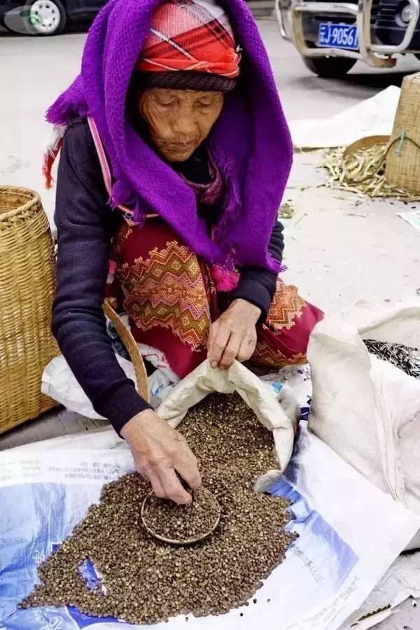 石蚌:石头 听说蛙类只有石蛙才是真正不用喂饲料不在肥水里长，大家说是吗？