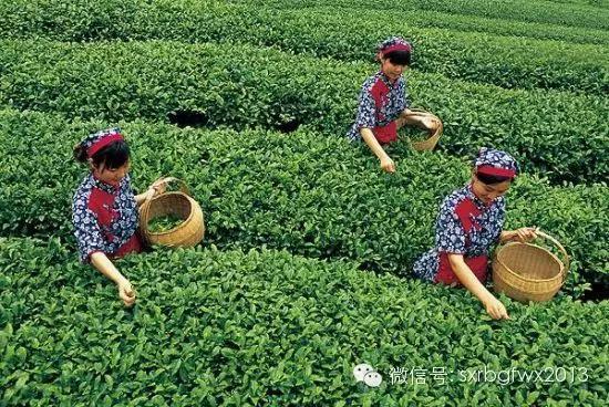 95年湖北灵异事件:有什么关于神农架的离奇故事？