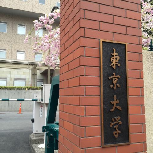 莲佛美沙子:有哪些日剧、电影取景在日本的大学？