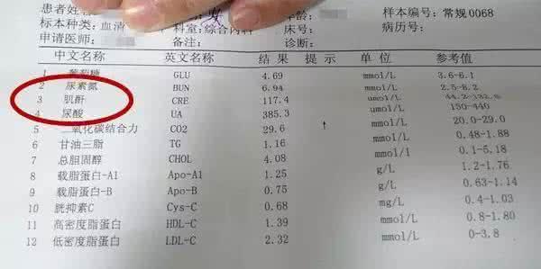 头条问答 衡量肾功能的主要指标有哪些 关关观沧海的回答 0赞