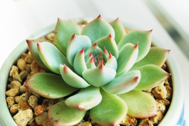 你知道哪些比较好听的网名？