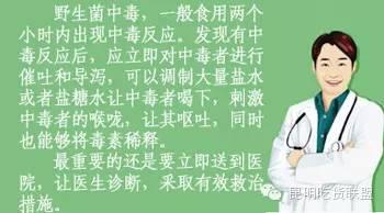 捏捏吃啥东西了为啥不会-不饿但是老想吃东西，吃了不撑，但是不吃不行，是心里有毛病吗？