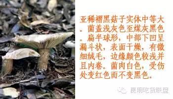 捏捏吃啥东西了为啥不会-不饿但是老想吃东西，吃了不撑，但是不吃不行，是心里有毛病吗？