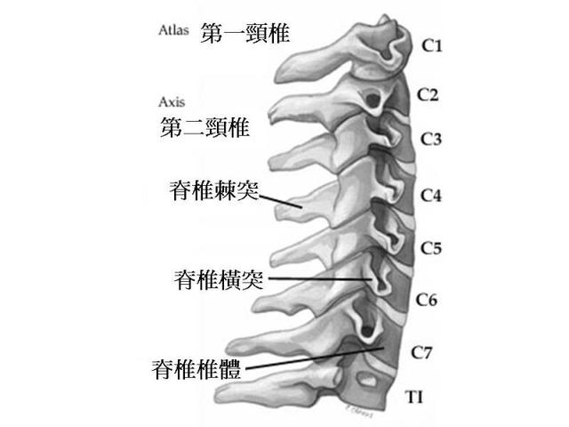 广州18岁少女睡姿不对致脊柱弯曲:睡姿不对致脊柱弯曲